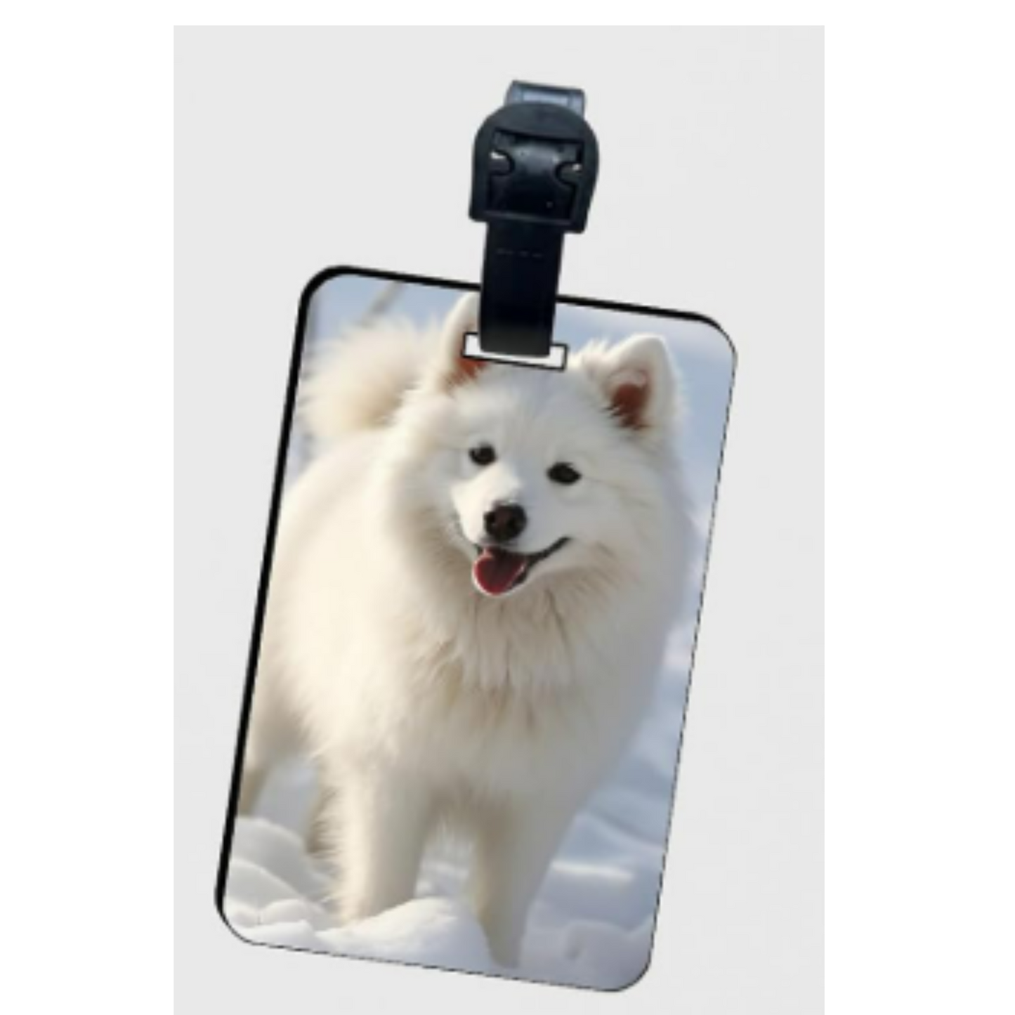 Personalized Backpack tags